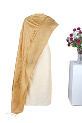 Beige Handwoven Banarasi Silk Dupatta with Woven Jaal Pattern - Leheriya